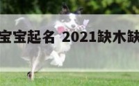 缺金木男宝宝起名 2021缺木缺金的男孩名字大全