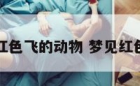 梦见红色飞的动物 梦见红色飞鸟
