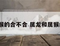 属龙跟属猴的合不合 属龙和属猴的相配吗?