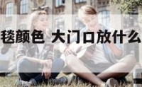猪年大门地毯颜色 大门口放什么颜色的地垫好