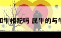 属牛的和牛相配吗 属牛的与牛相配不
