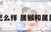 属猴和属鼠怎么样 属猴和属鼠的合得来吗