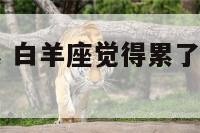 白羊座说太累 白羊座觉得累了是想和我分手了吗