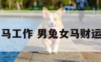 男兔女马工作 男兔女马财运怎么样
