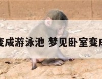 梦见卧室变成游泳池 梦见卧室变成游泳池了