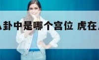 属虎的在八卦中是哪个宫位 虎在八卦中是哪一卦
