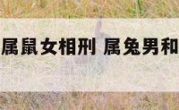 属兔男的和属鼠女相刑 属兔男和属鼠女注定就不好吗