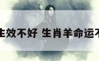 属羊生效不好 生肖羊命运不好吗