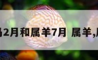 属马2月和属羊7月 属羊,属马