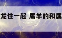 属羊属狗属龙住一起 属羊的和属狗的能不能生活在一起