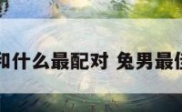 兔的男的和什么最配对 兔男最佳配对生肖