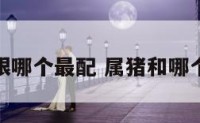 属猪跟哪个最配 属猪和哪个最配