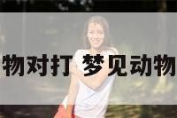 梦见看动物对打 梦见动物打斗场面