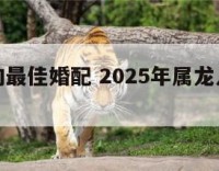 属龙人的最佳婚配 2025年属龙人的最佳婚配