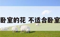不适合卧室的花 不适合卧室养的花