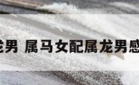 女属马属龙男 属马女配属龙男感情稳定吗?
