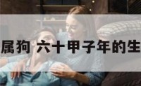六十甲子属狗 六十甲子年的生肖的运势