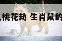 2017属鼠人桃花劫 生肖鼠的桃花劫是哪一年