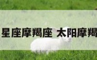 太阳次限星座摩羯座 太阳摩羯怎么算的