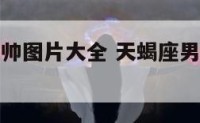 天蝎座男生帅图片大全 天蝎座男生头像动漫可爱