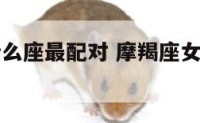 摩羯座女什么座最配对 摩羯座女最配哪个星座