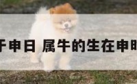 属牛生于申日 属牛的生在申时好不好