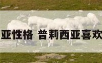 普莉西亚性格 普莉西亚喜欢拉基吗