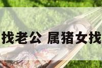 天涯属猪的女找老公 属猪女找对象属什么好