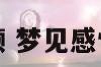 梦见爱情不顺 梦见感情不顺很伤心