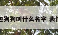 表情包狗狗叫什么名字 表情的狗