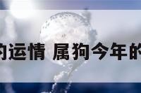 属狗今年的运情 属狗今年的运势2021