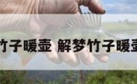解梦竹子暖壶 解梦竹子暖壶坏了