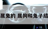 属狗的嫁给属兔的 属狗和兔子结婚合不合适