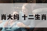 十二生肖大妈 十二生肖大揭秘