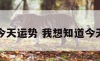 查看今天运势 我想知道今天运势