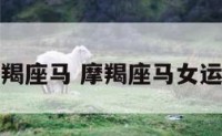 摩羯座马 摩羯座马女运势