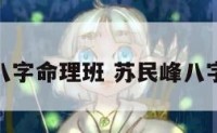 苏民峰八字命理班 苏民峰八字班视频