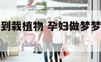 孕妇做梦梦到栽植物 孕妇做梦梦到栽植物好不好