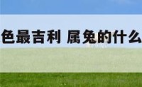 属兔什么颜色最吉利 属兔的什么颜色可以带来好运