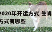 生肖狗2020年开运方式 生肖狗2020年开运方式有哪些