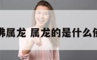 哪位佛属龙 属龙的是什么佛保护