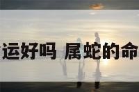 属蛇命运好吗 属蛇的命运怎样