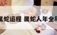 蛇年属蛇运程 属蛇人年全年运势