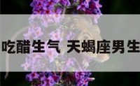 天蝎座男生吃醋生气 天蝎座男生吃醋生气了