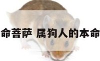 属狗人的本命菩萨 属狗人的本命菩萨及道场