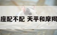 天平摩羯座配不配 天平和摩羯合得来吗