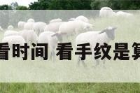 手纹看时间 看手纹是算命吗