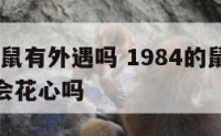 1984属鼠有外遇吗 1984的鼠一生婚姻状况会花心吗