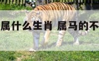 属马不能生属什么生肖 属马的不适合生什么属相的孩子