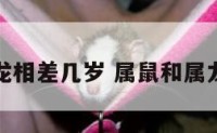 属鼠跟属龙相差几岁 属鼠和属龙的相符吗